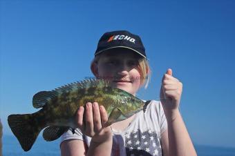 1 lb 8 oz Ballan Wrasse by Sarah