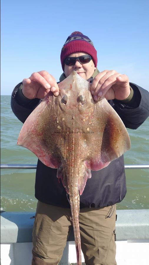 6 lb 8 oz Thornback Ray by Benn  from London