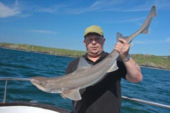 11 lb 5 oz Starry Smooth-hound by Paul