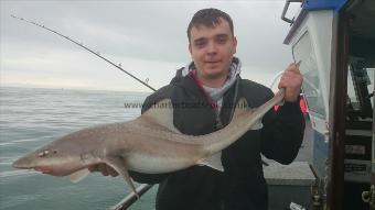 12 lb 2 oz Smooth-hound (Common) by George from Kent