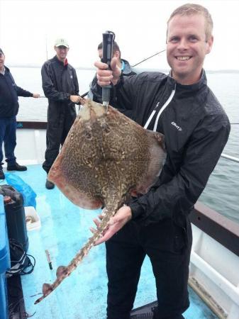 6 lb Thornback Ray by Unknown