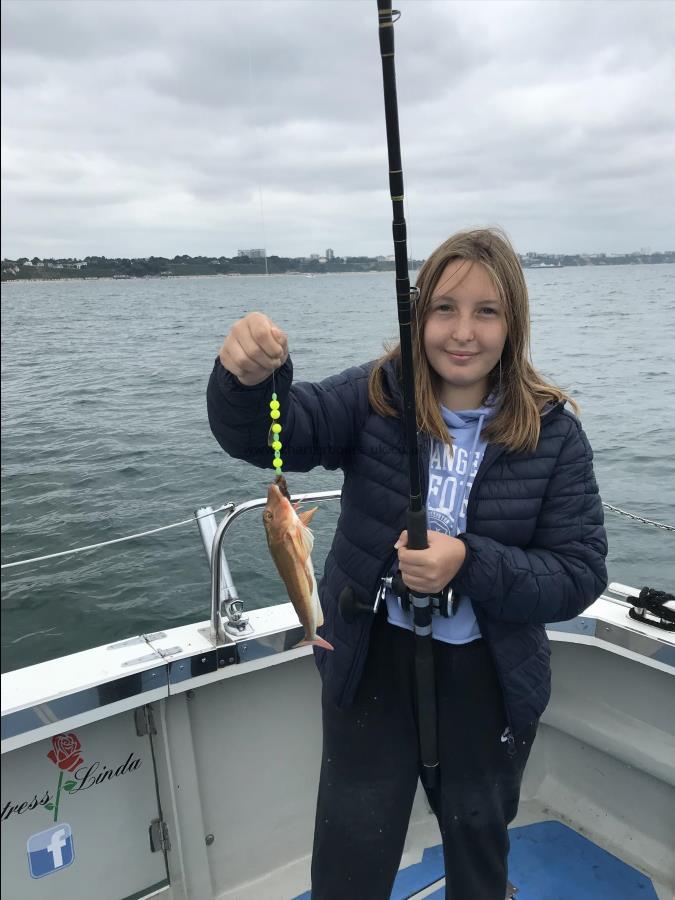 7 oz Tub Gurnard by My 1st fish