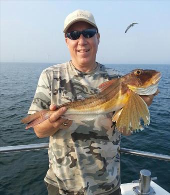 2 lb 15 oz Tub Gurnard by Steve McQueen