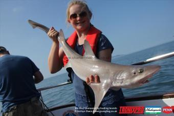 12 lb Starry Smooth-hound by Sara