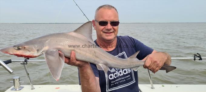 9 lb Starry Smooth-hound by John