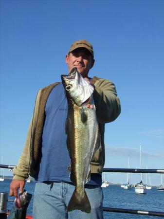 8 lb 6 oz Pollock by Unknown