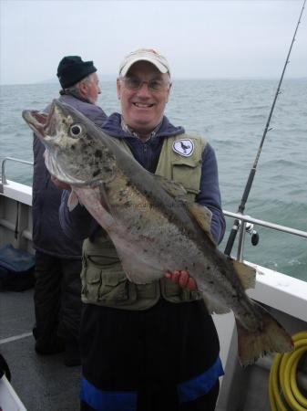 13 lb Pollock by John Crease