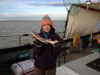 1 lb 8 oz Lesser Spotted Dogfish by Happiness is your 1st Dogfish !