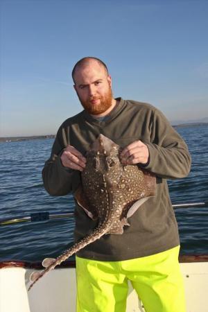 8 lb Thornback Ray by Unknown