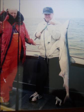 70 lb Blue Shark by Steve Mc Faddon