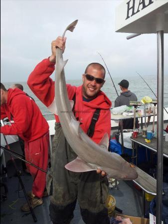 19 lb 9 oz Starry Smooth-hound by darren mils