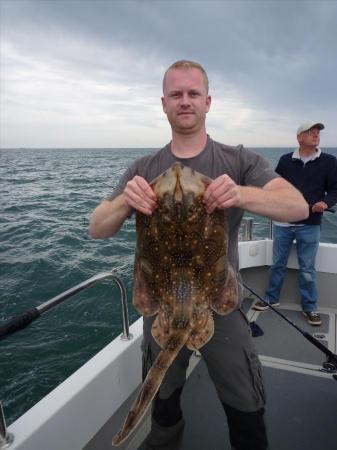 12 lb Undulate Ray by Matt Easton