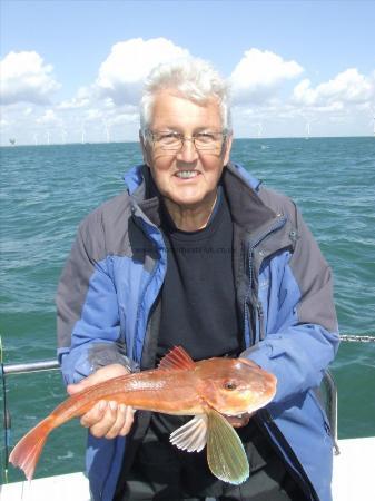 2 lb 2 oz Tub Gurnard by Unknown