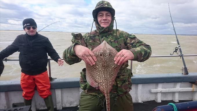 5 lb 3 oz Thornback Ray by Derek from Whitstable