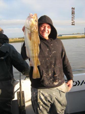 1 lb 14 oz Cod by Daniel