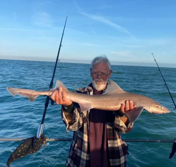 10 lb Smooth-hound (Common) by Unknown