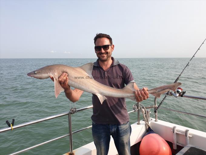 11 lb 8 oz Smooth-hound (Common) by Bob Marshall