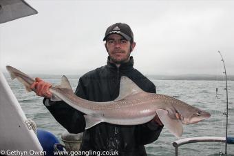 13 lb Starry Smooth-hound by Monty