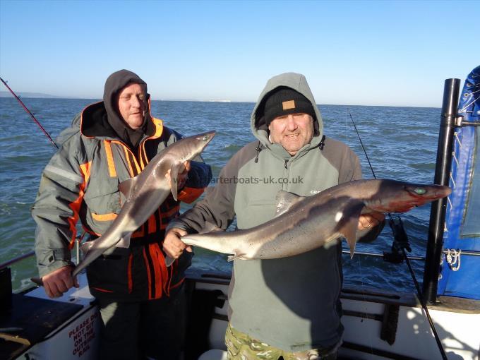 16 lb Spurdog by brace for the lads