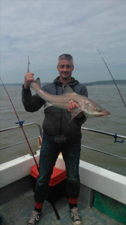 12 lb 4 oz Smooth-hound (Common) by warren baker
