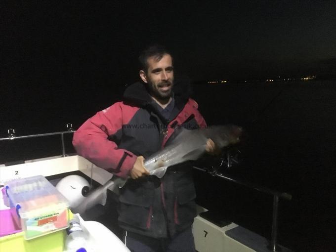 8 lb 8 oz Smooth-hound by Unknown