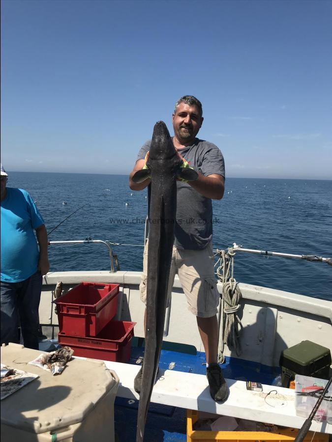 34 lb Conger Eel by Unknown