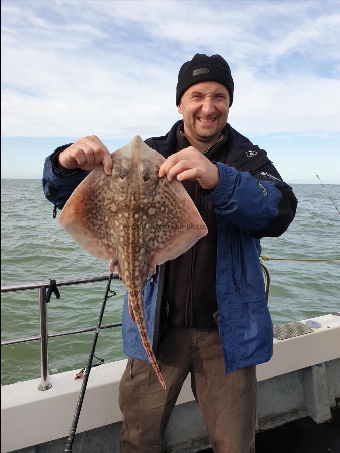 5 lb Thornback Ray by Bob Marshall