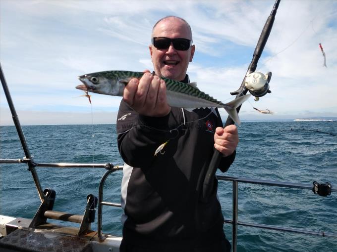 1 lb 5 oz Mackerel by Rich