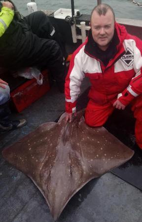 65 lb Common Skate by Unknown