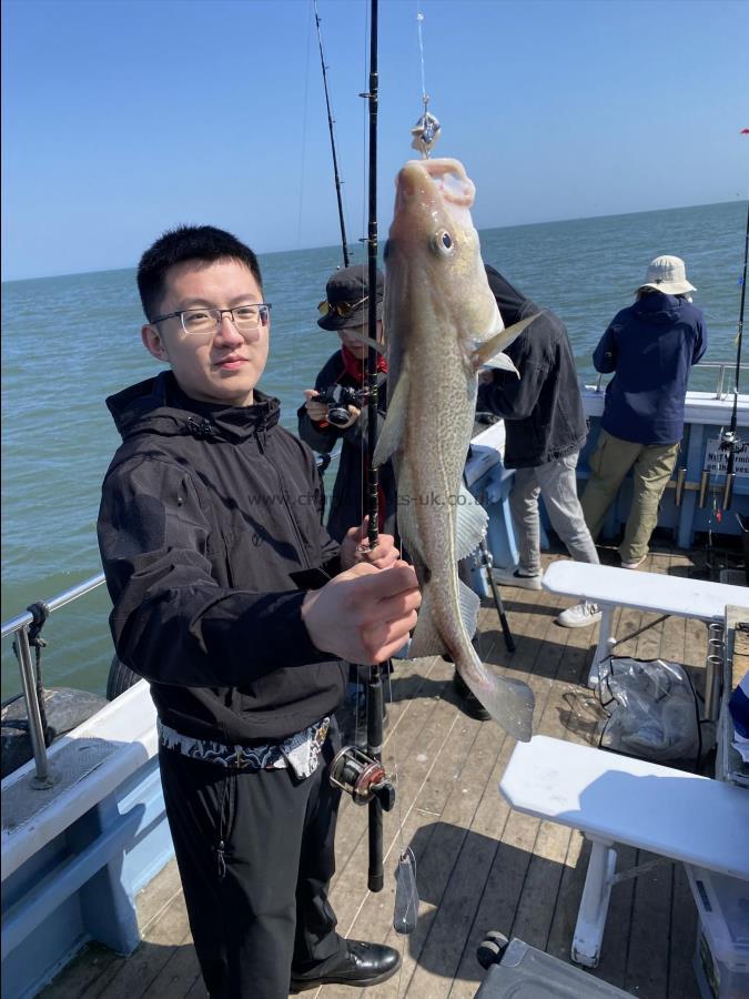 4 lb Cod by Cod fishing trip