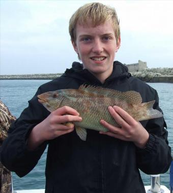 3 lb 8 oz Ballan Wrasse by John Wheeler