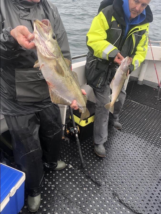 6 lb Pollock by Unknown