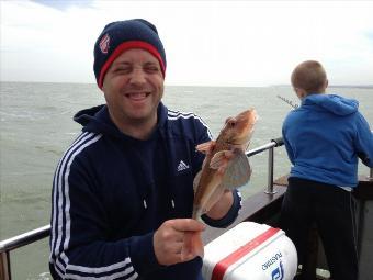 1 lb 6 oz Tub Gurnard by He ain't right !