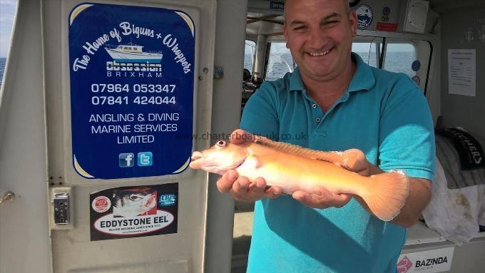 2 lb 2 oz Cuckoo Wrasse by Steve