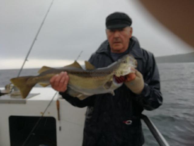 9 lb Pollock by Big John on the pollock