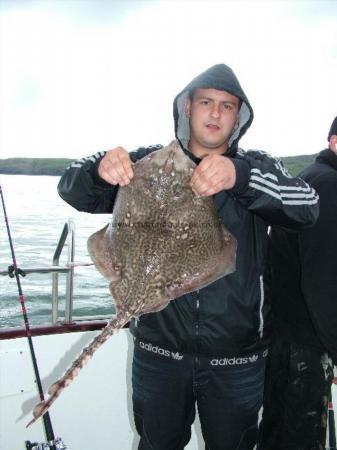 11 lb Thornback Ray by Unknown