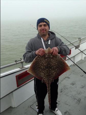 16 lb Thornback Ray by Unknown