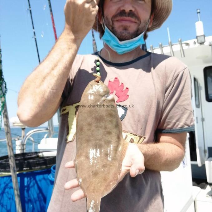 1 lb 2 oz Dover Sole by Unknown