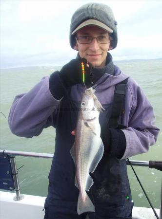 2 lb 12 oz Whiting by Peter Collings