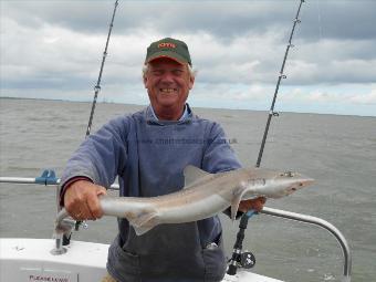 5 lb 5 oz Starry Smooth-hound by Derek