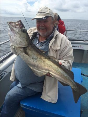 11 lb Pollock by Kevin McKie