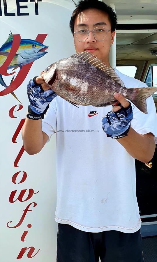 2 lb 6 oz Black Sea Bream by Unknown