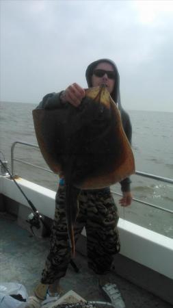 13 lb Blonde Ray by james