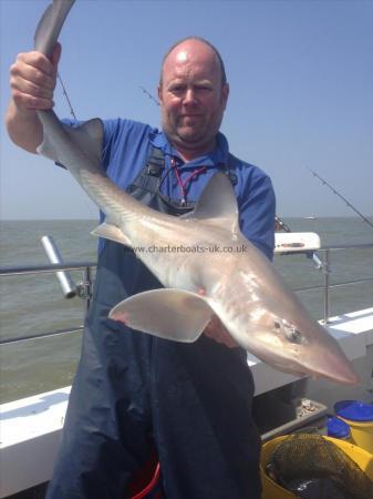 14 lb 6 oz Starry Smooth-hound by Mark