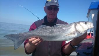 7 lb 4 oz Bass by Roger from Kent