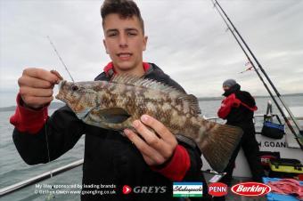 3 lb Ballan Wrasse by Ethan