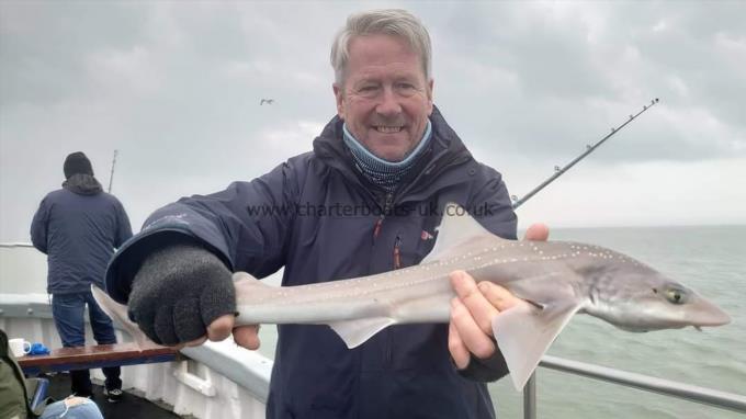 4 lb Smooth-hound (Common) by Pete