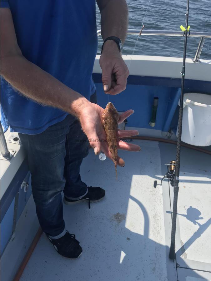 4 oz Dragonet by Jim Again