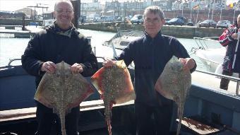 7 lb Thornback Ray by Conray