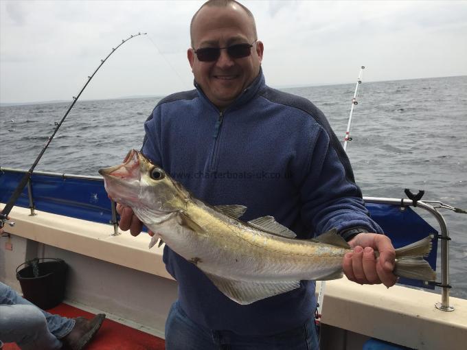 7 lb 8 oz Pollock by Martin Brown